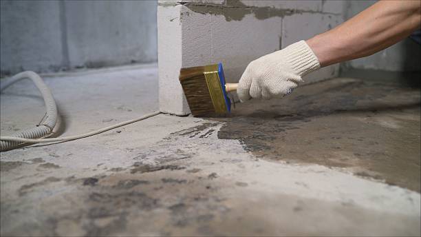 SJ Waterproofing Pros Waterproofing coverage map for Woodlawn, VA and surrounding area